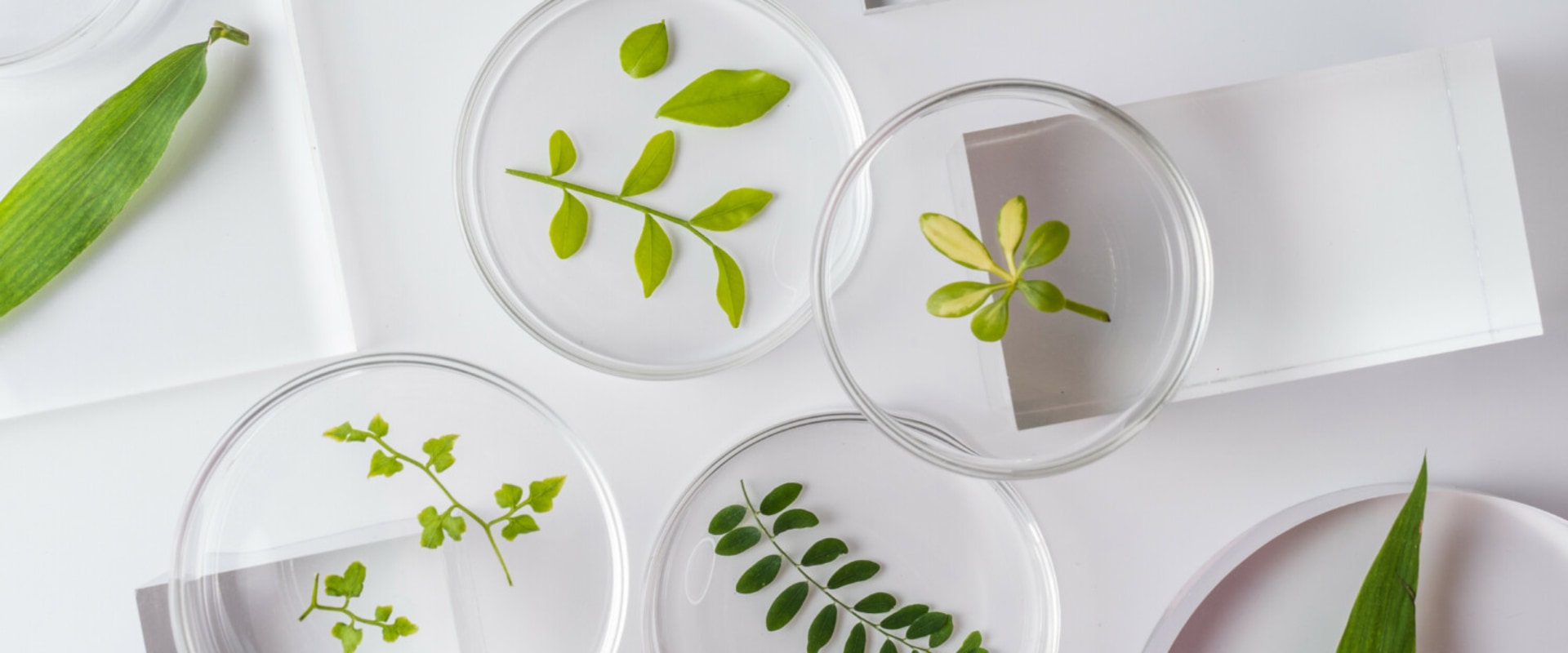 A Comprehensive Look at Chemistry Tutors: How They Can Boost Your Academic Performance